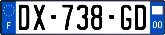 DX-738-GD