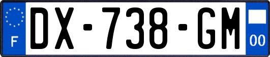 DX-738-GM