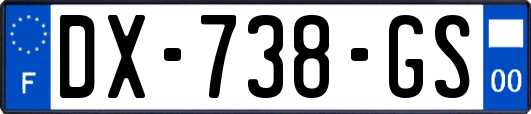 DX-738-GS