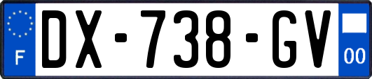 DX-738-GV