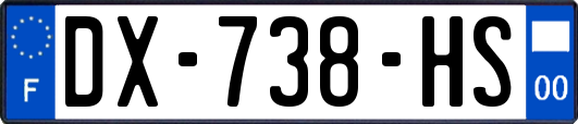 DX-738-HS