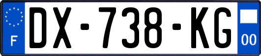 DX-738-KG