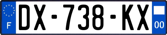DX-738-KX