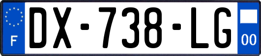 DX-738-LG