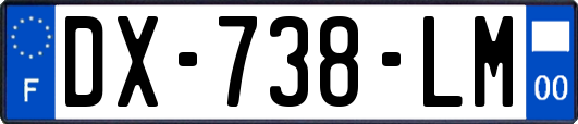 DX-738-LM