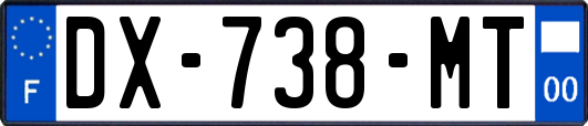 DX-738-MT
