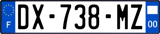 DX-738-MZ