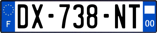 DX-738-NT