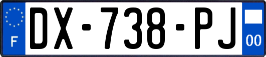 DX-738-PJ