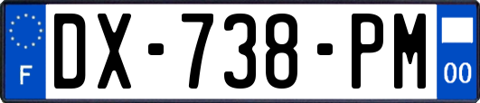 DX-738-PM