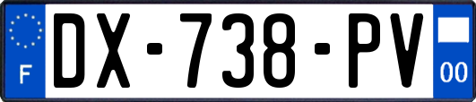 DX-738-PV