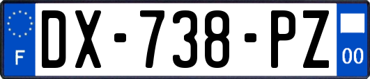 DX-738-PZ