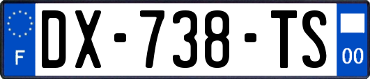 DX-738-TS