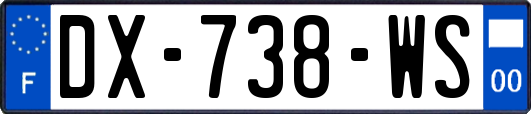 DX-738-WS