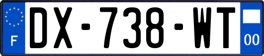 DX-738-WT