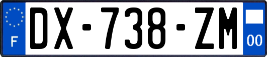 DX-738-ZM