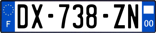 DX-738-ZN