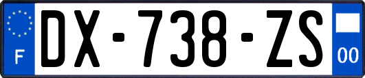 DX-738-ZS