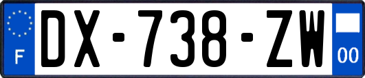 DX-738-ZW