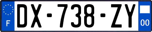 DX-738-ZY