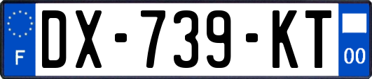 DX-739-KT