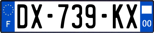 DX-739-KX