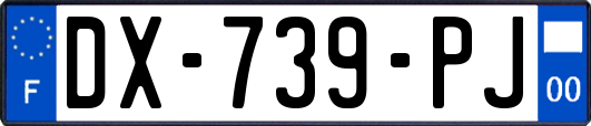 DX-739-PJ