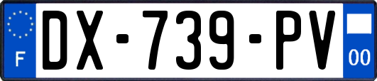 DX-739-PV