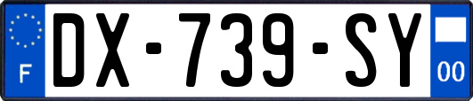 DX-739-SY