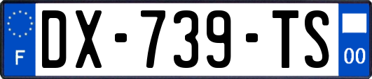 DX-739-TS