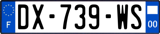 DX-739-WS