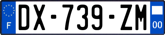 DX-739-ZM