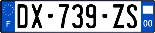 DX-739-ZS