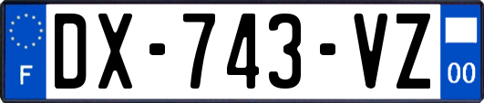 DX-743-VZ