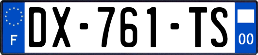 DX-761-TS