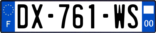 DX-761-WS