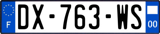 DX-763-WS