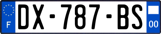 DX-787-BS