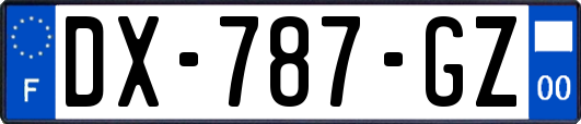 DX-787-GZ