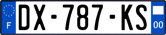 DX-787-KS