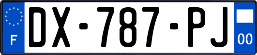 DX-787-PJ
