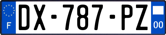 DX-787-PZ
