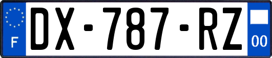 DX-787-RZ