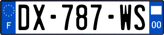 DX-787-WS