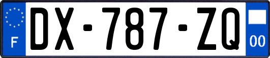 DX-787-ZQ