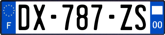 DX-787-ZS