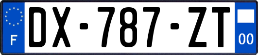 DX-787-ZT