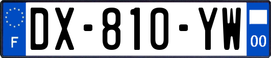 DX-810-YW
