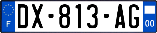 DX-813-AG