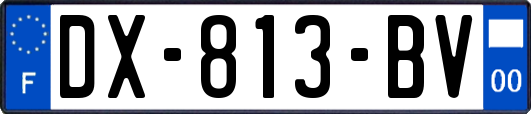 DX-813-BV